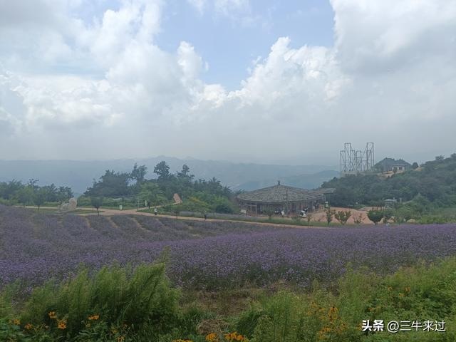 无为在歧路，齐山一块八