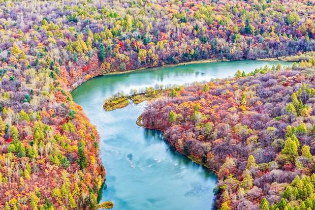 洛阳的秋天在这里封神！3条禅意路线，最后一条让摄影师舍不得走