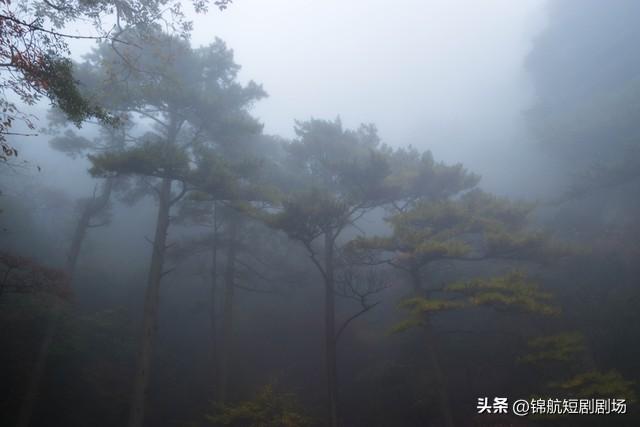 打卡黄山雾凇 冬日顶配风景