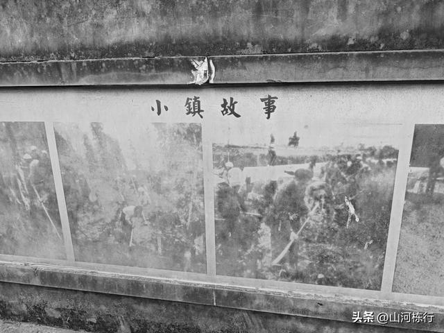 成都人的周末“偷闲”：上午三道堰喝茶，下午蝴蝶村遛娃