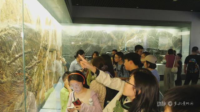 贵州避暑游博物馆成热门打卡地，省博预约排到了三天后