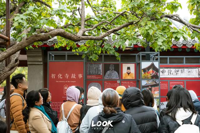 北京最新秋日打卡地 · 再看要等明年