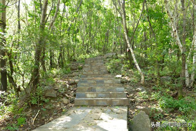 河北百草畔（上）：风动孤石悬险韵，蚁巡深岭蕴生机