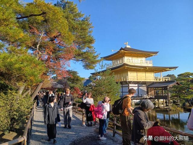 【实地直击】过度旅游真的缓解了？探访中国人身影消失后的京都