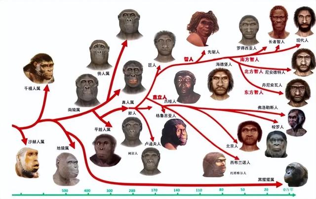 人类到底是如何诞生的？地球上第一个人又是谁？