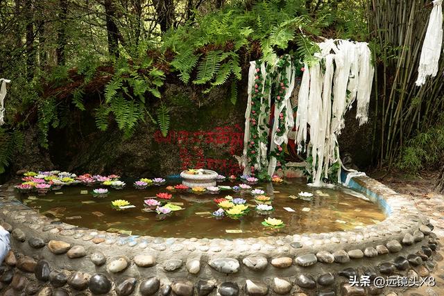 西藏林芝卡定沟美景