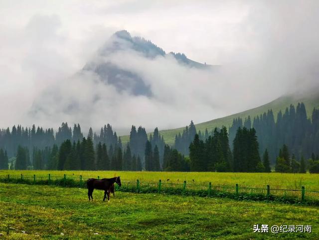 新疆维吾尔族自治区不虚此行旅游开发很好大美独库公路一天有四季