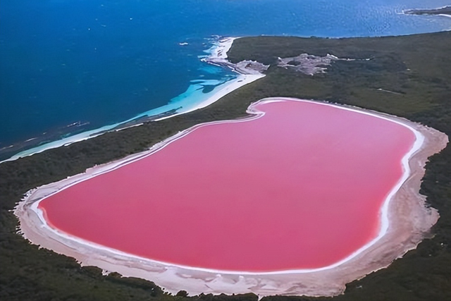 大凶之兆出现？圣经末日预言应验，波斯湾海水血红色，怎么回事？