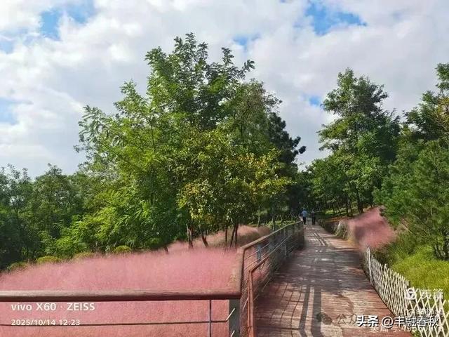 浮山漫记：藏在青岛城央的自然诗篇｜申艳娟