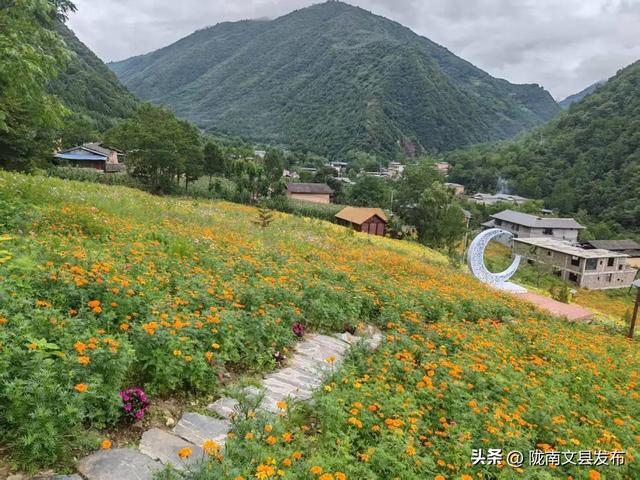 文县：白马藏乡花如海避暑秘境等你来