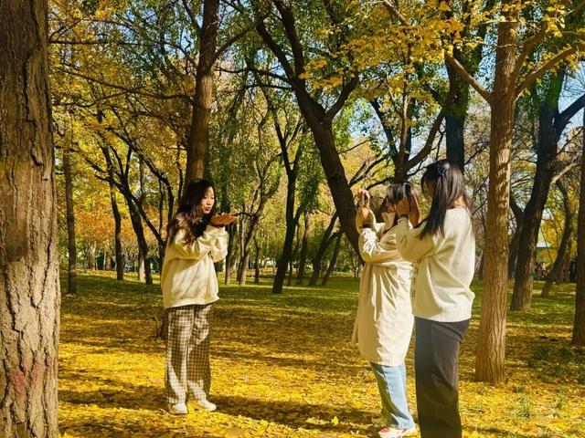 快来打卡！石家庄109座公园广场同步推出……