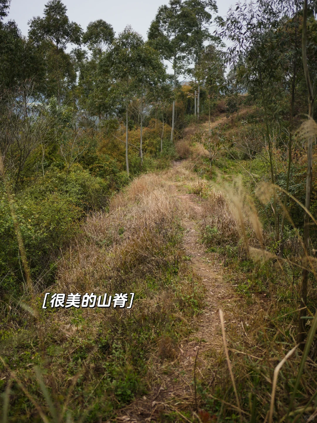 成都南门出发1h || 10km小众野生路线探个险，冷门到包场！