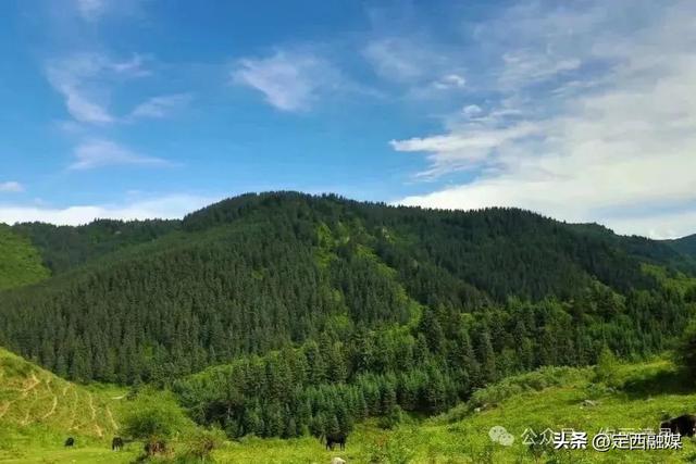 清凉20℃！来漳县，感受夏日里的“天然冰箱”