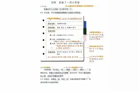 三下满分习作（四）：《我做了一项小实验》（附可打印范文）图片