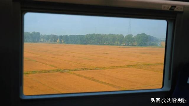 火车站安检仪满屏“橙色旅行团”，它们要去哪？