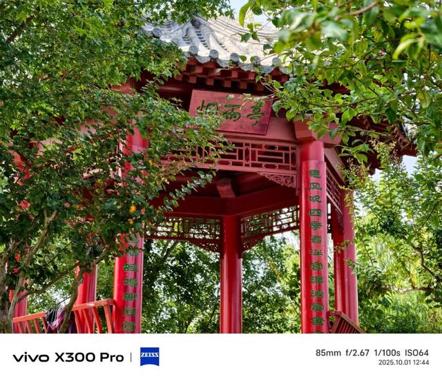 vivo X300系列评测：同级巅峰影像 出片易如反掌
