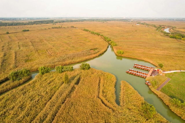 即刻出发，解锁淄博「秋日限定」模式，错过等明年！