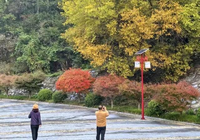 巨出片！观音湖「延迟版」秋景亮相