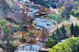 【项目推介】陇南市武都区姚寨沟姚寨村甲级民宿建设项目图片