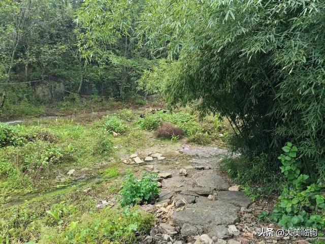 雨访南西安村玉泉