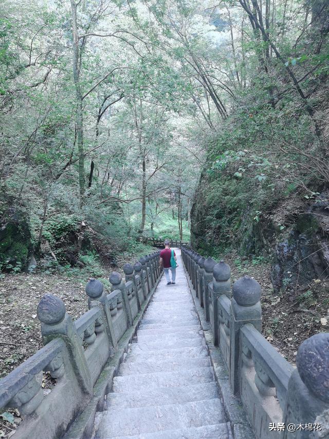 携宠旅游第二天