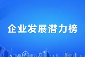 2025年中国固态电池行业最具发展潜力企业排名图片