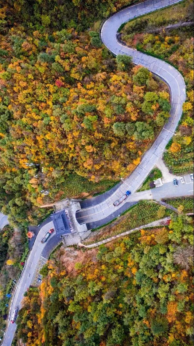 秦岭秋色醉，汉中红叶美：红叶季路线已为您规划好！