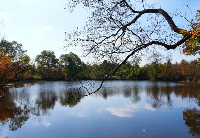 一键收藏!明光南部2025年秋景大赏