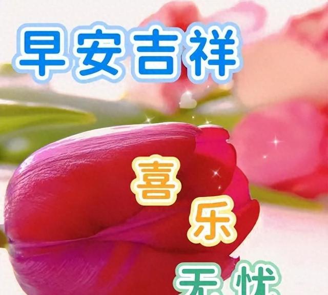清晨早安心语，早上好文案元气满满，祝福新的一天，幸福快乐