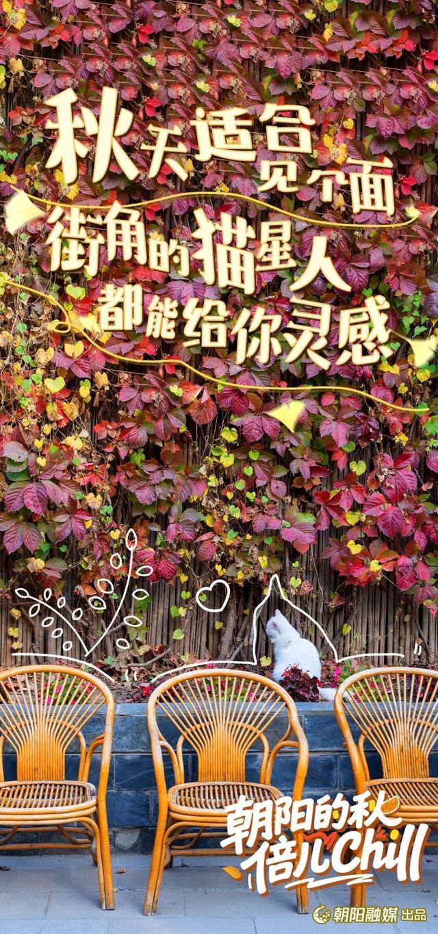 来北京朝阳，开启最chill的秋日漫游——