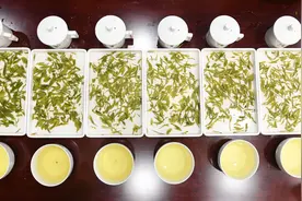 浙江发布中国首个龙井茶国家标准样品图片