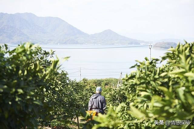 偶尔的发现，揭开奶奶的情感世界，那份珍藏的发了黄的破烂的情书