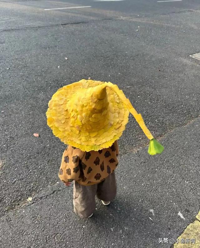 金色的苏州，开始了！