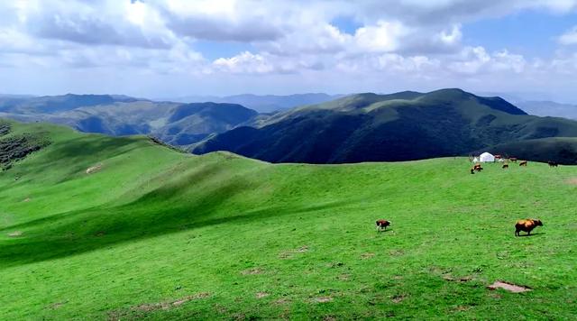 在白松坝，停驻于岁月漫溯山河的刹那