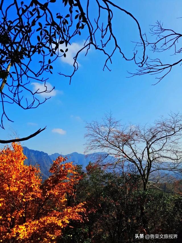 光雾山：川陕腹地的红叶秘境与千年回响