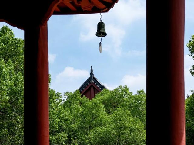 今年国庆，为什么是这座城拿了爽文剧本？