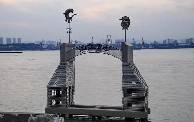 南京地铁5号线隐藏玩法！你绝对不知道，它藏着一条“生态盲盒”路线