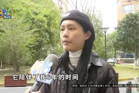 养了六年的“贝贝”去洗澡，结果…她说“它是我的精神寄托”图片