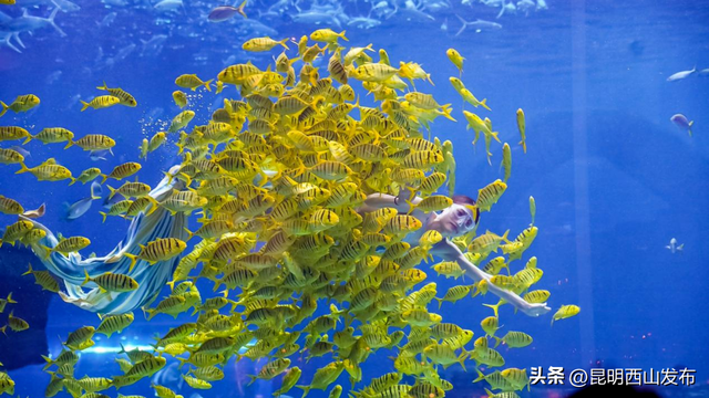 @外地人，不用找了！来昆明旅居锁死西山这三大片区