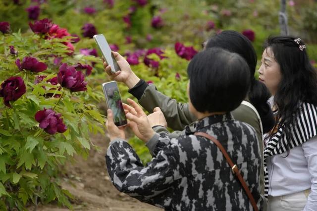 武都，“热”力全开🥰🥰