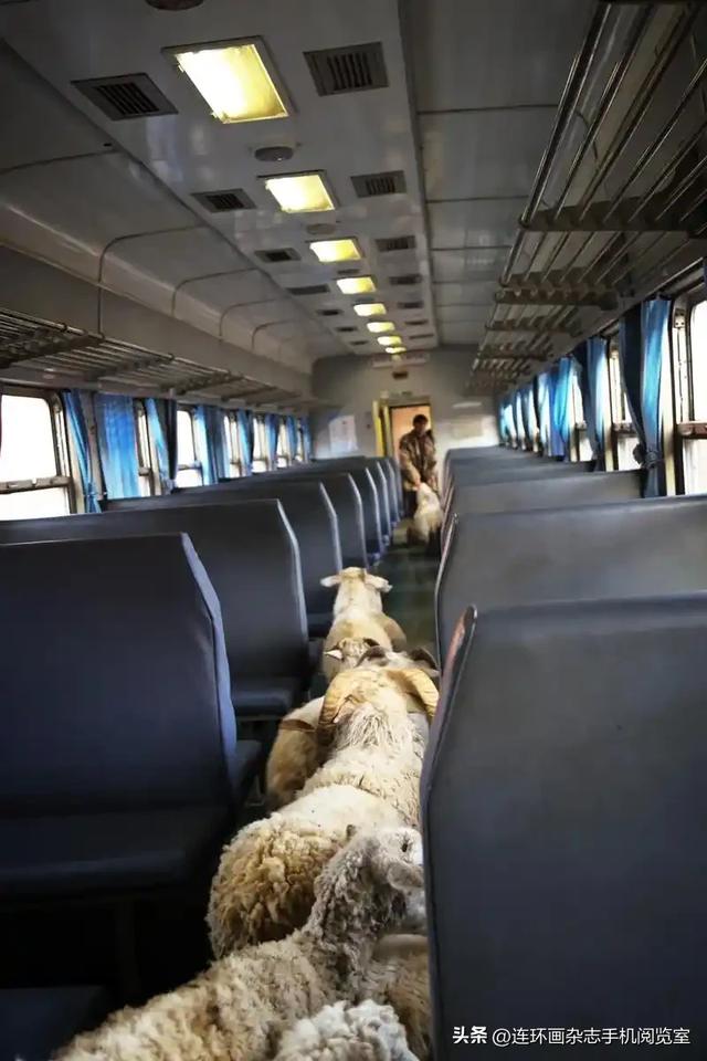 彝路风情绿皮车“5633”：