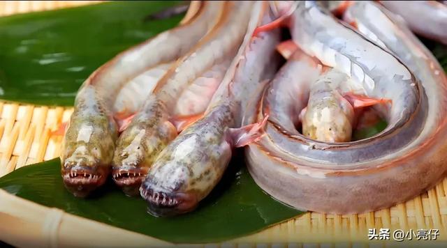 日本人做的水饺，有多变态！