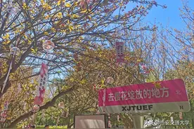 春天里的交大之樱花节～来仙交一同赏花吧图片