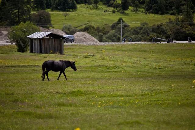 揭秘西藏顶级风光：除了拉萨这些地方更惊艳