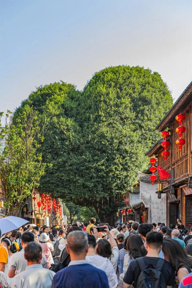 福州最美骑行线路来啦，这个周末换种方式逛福州！