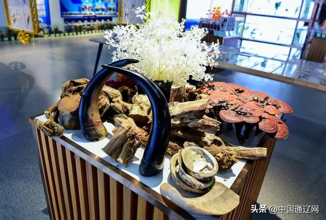 博物馆的玻璃柜内外：千年蒙医药的过去被珍藏，未来正在书写……