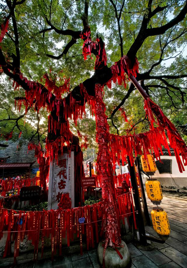 红旗漫卷映朱栏——当潍坊古典美邂逅“国庆红”……