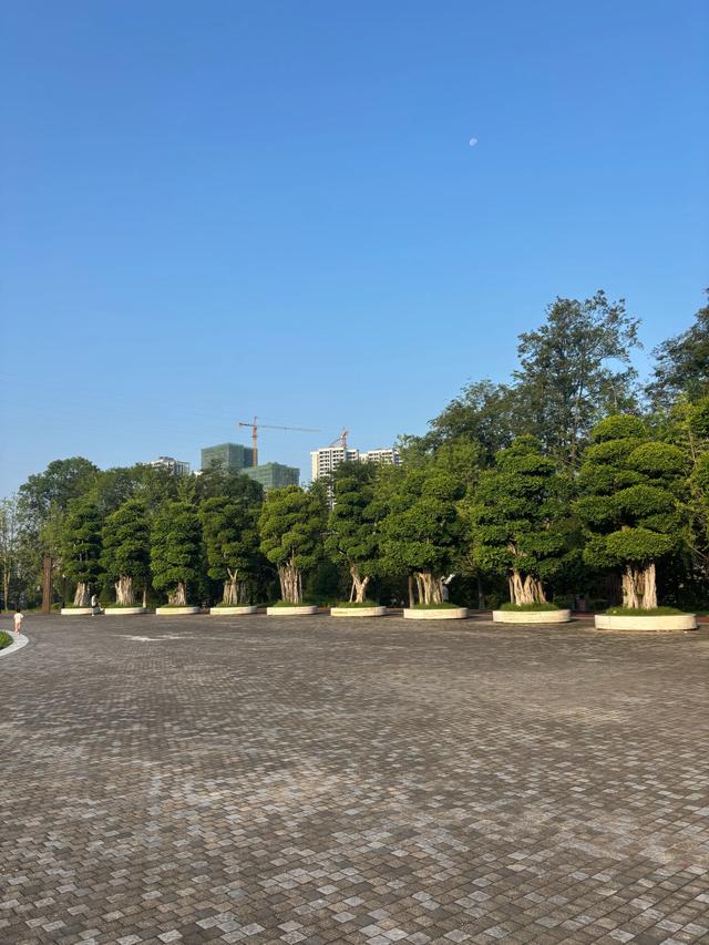 七律·游河边公园