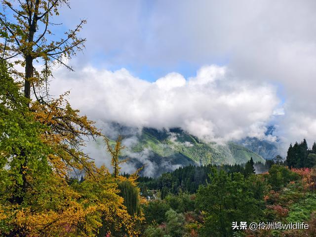 四川行(73)什邡红枫岭徒步到钟鼎寺