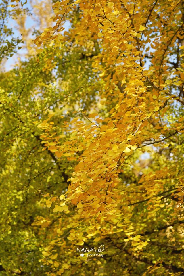 漫游韶关，赴一场山水间的秋日之约